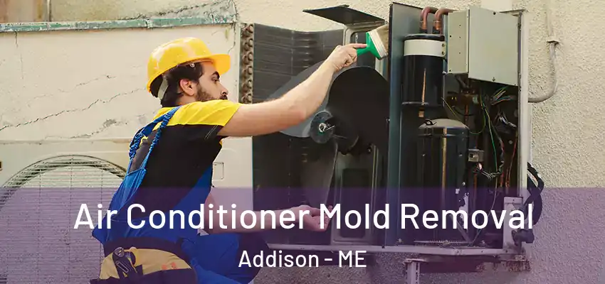  Air Conditioner Mold Removal Addison - ME