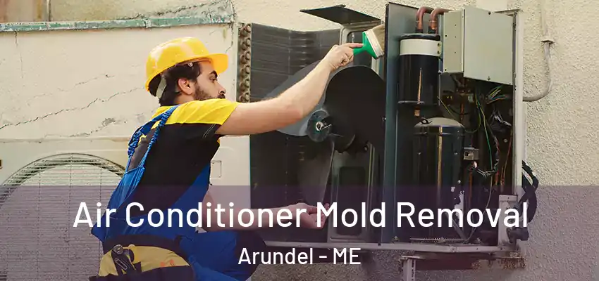  Air Conditioner Mold Removal Arundel - ME