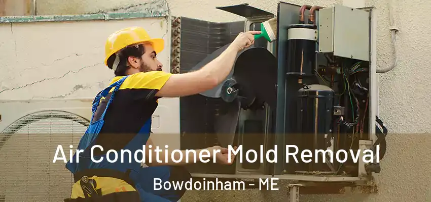  Air Conditioner Mold Removal Bowdoinham - ME