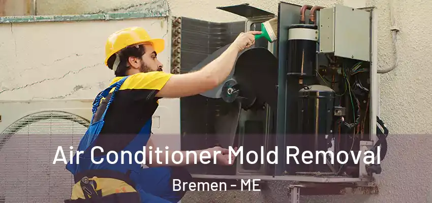  Air Conditioner Mold Removal Bremen - ME