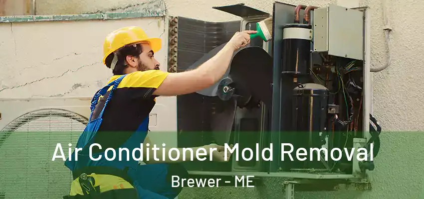  Air Conditioner Mold Removal Brewer - ME