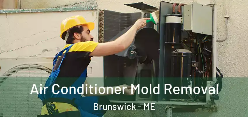  Air Conditioner Mold Removal Brunswick - ME