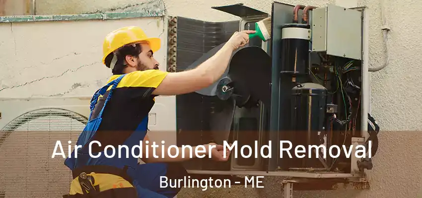  Air Conditioner Mold Removal Burlington - ME