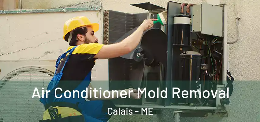  Air Conditioner Mold Removal Calais - ME