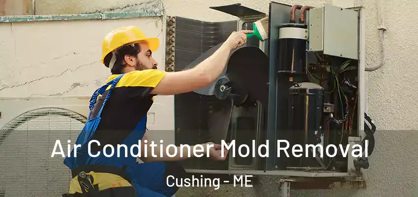  Air Conditioner Mold Removal Cushing - ME