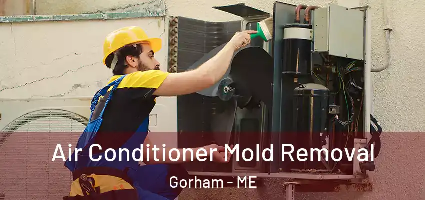  Air Conditioner Mold Removal Gorham - ME