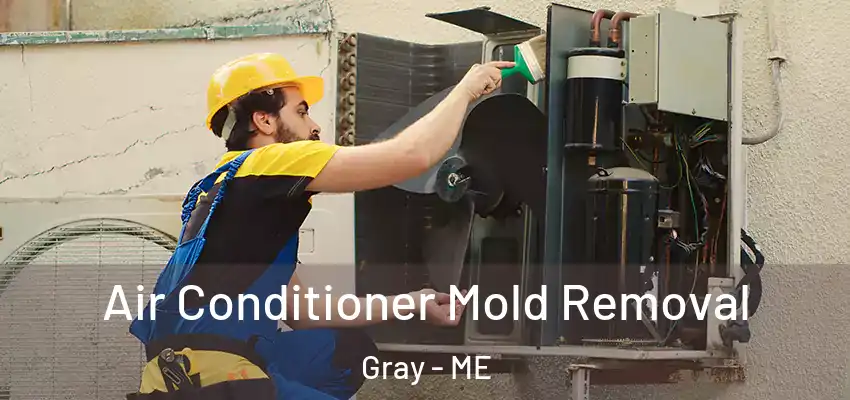  Air Conditioner Mold Removal Gray - ME