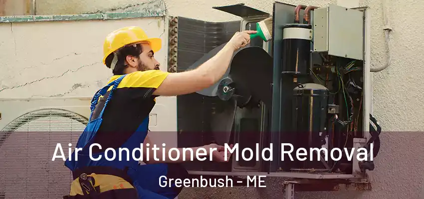  Air Conditioner Mold Removal Greenbush - ME
