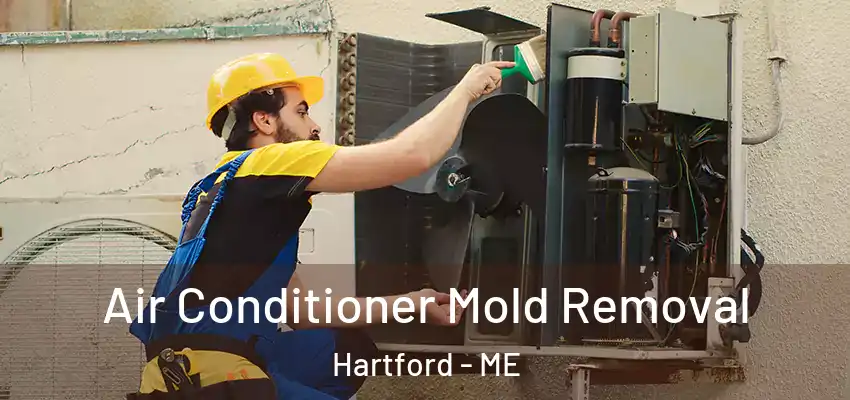  Air Conditioner Mold Removal Hartford - ME