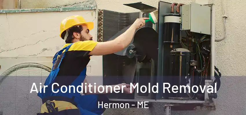  Air Conditioner Mold Removal Hermon - ME