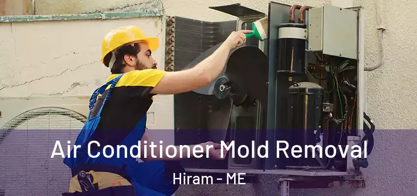  Air Conditioner Mold Removal Hiram - ME