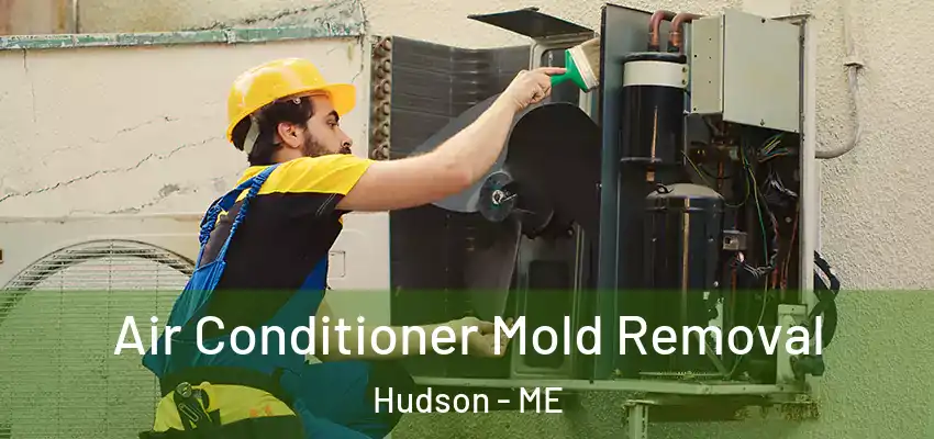  Air Conditioner Mold Removal Hudson - ME