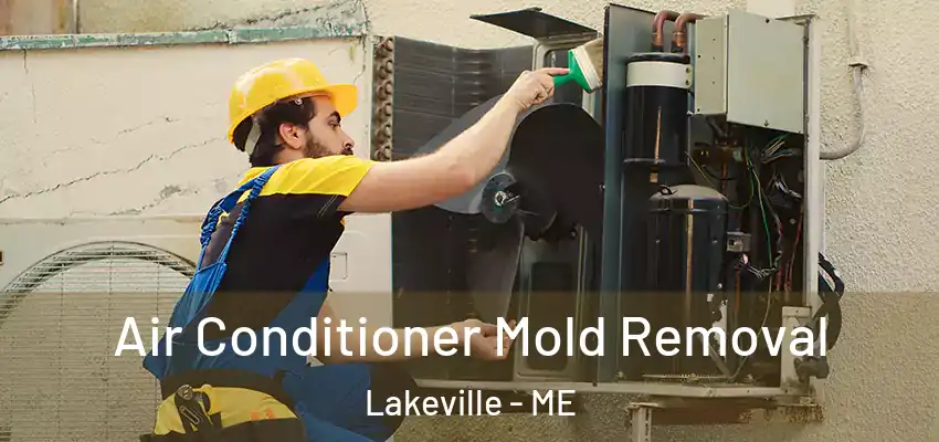  Air Conditioner Mold Removal Lakeville - ME