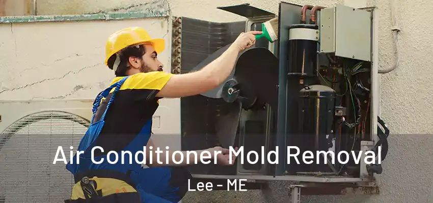  Air Conditioner Mold Removal Lee - ME