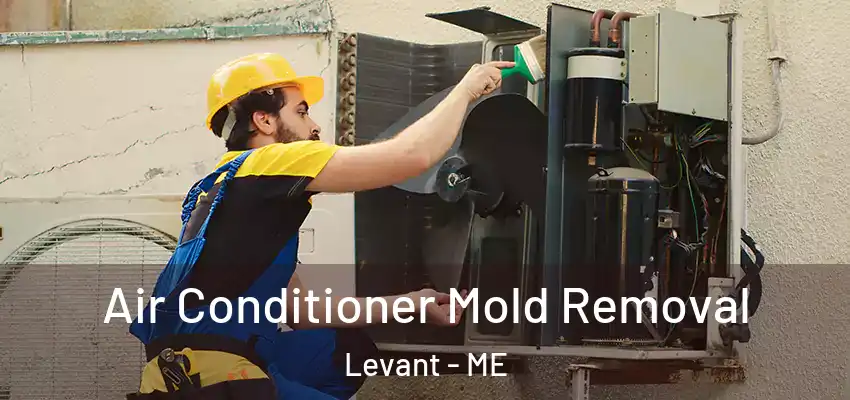  Air Conditioner Mold Removal Levant - ME
