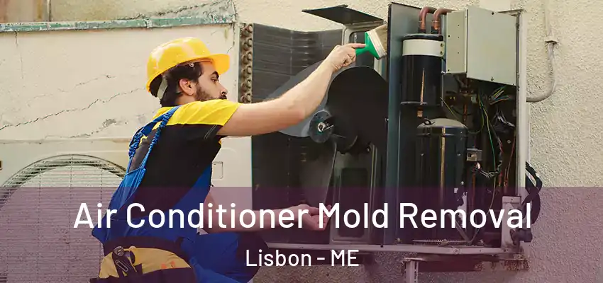  Air Conditioner Mold Removal Lisbon - ME