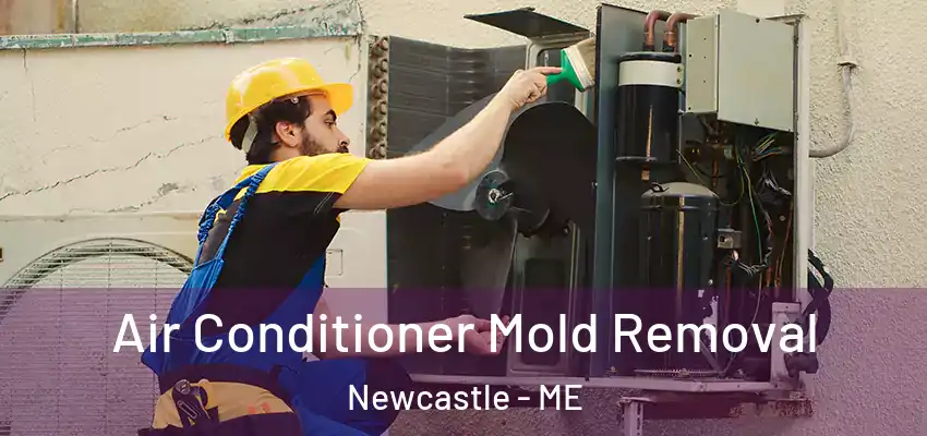  Air Conditioner Mold Removal Newcastle - ME