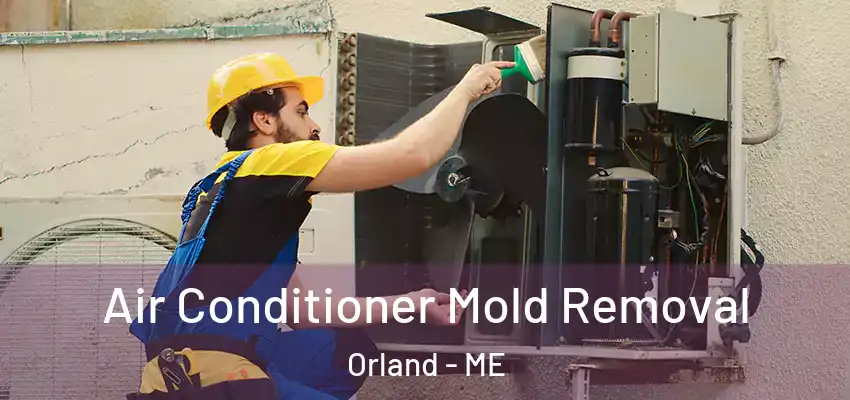  Air Conditioner Mold Removal Orland - ME