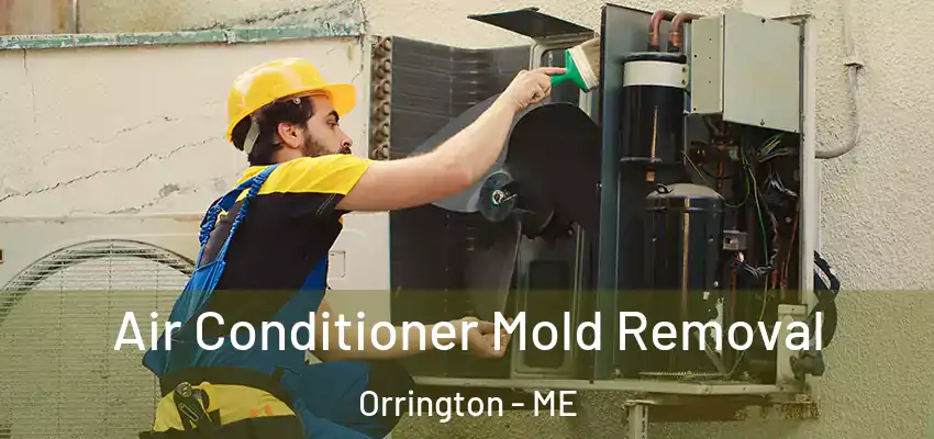  Air Conditioner Mold Removal Orrington - ME