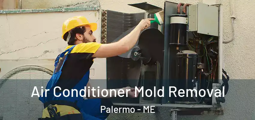  Air Conditioner Mold Removal Palermo - ME