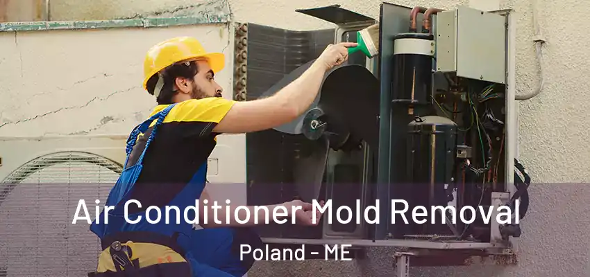 Air Conditioner Mold Removal Poland - ME