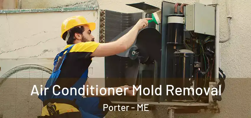  Air Conditioner Mold Removal Porter - ME