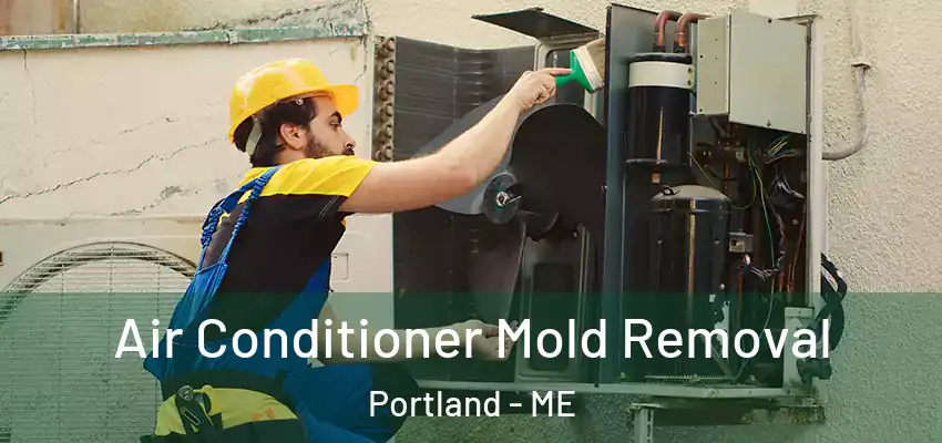  Air Conditioner Mold Removal Portland - ME