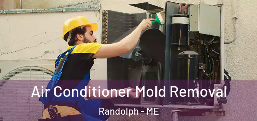  Air Conditioner Mold Removal Randolph - ME