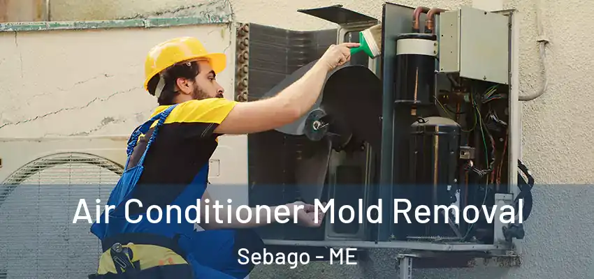  Air Conditioner Mold Removal Sebago - ME