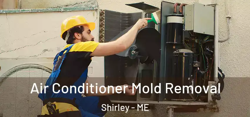  Air Conditioner Mold Removal Shirley - ME
