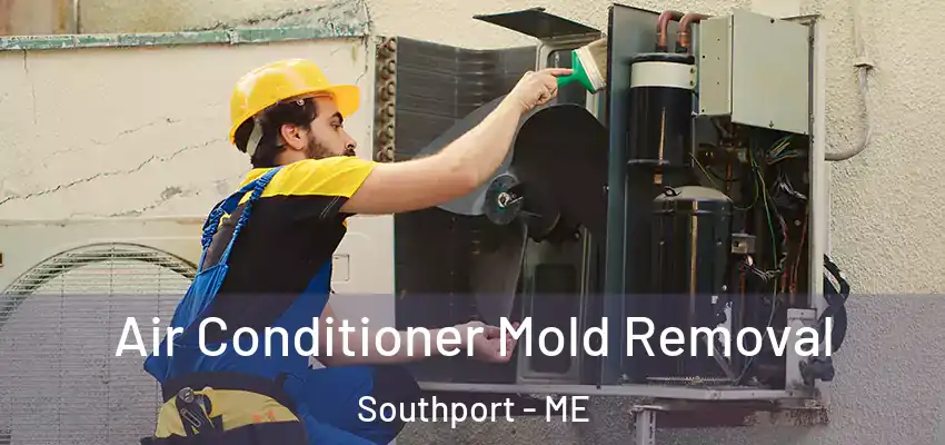  Air Conditioner Mold Removal Southport - ME