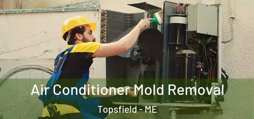  Air Conditioner Mold Removal Topsfield - ME
