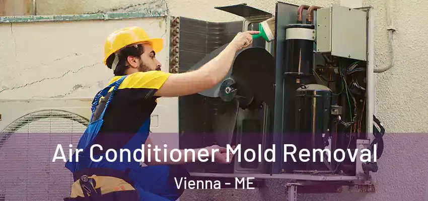  Air Conditioner Mold Removal Vienna - ME