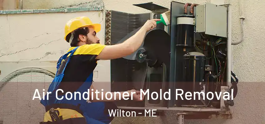  Air Conditioner Mold Removal Wilton - ME