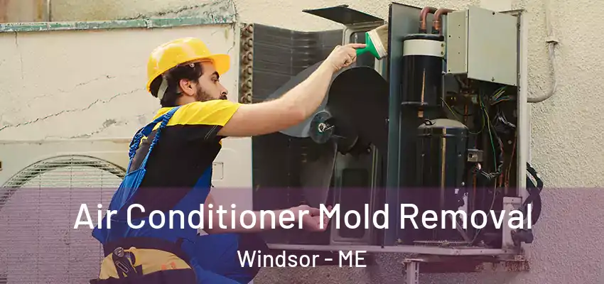  Air Conditioner Mold Removal Windsor - ME