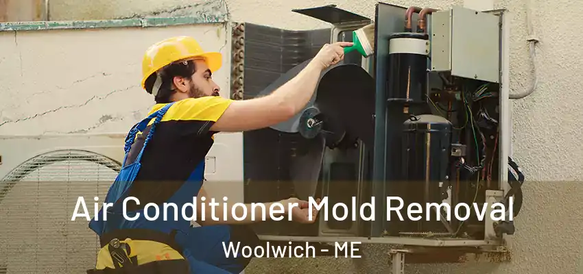  Air Conditioner Mold Removal Woolwich - ME