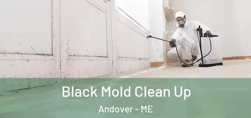  Black Mold Clean Up Andover - ME