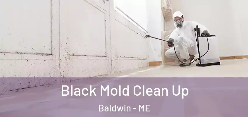  Black Mold Clean Up Baldwin - ME