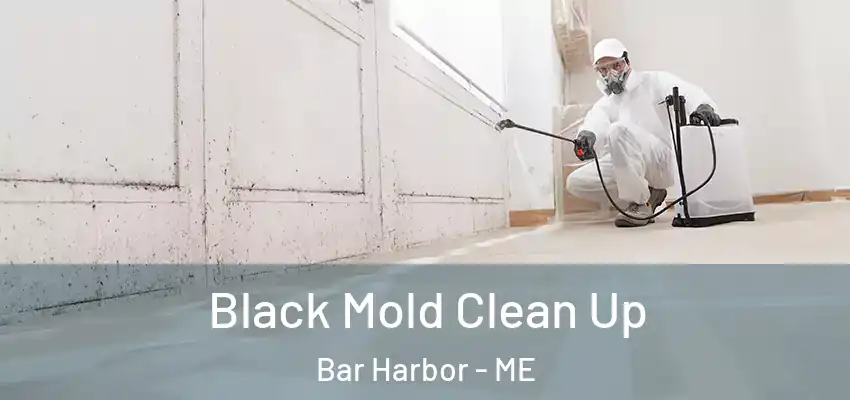 Black Mold Clean Up Bar Harbor - ME