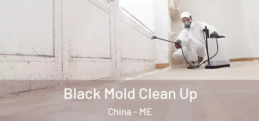  Black Mold Clean Up China - ME