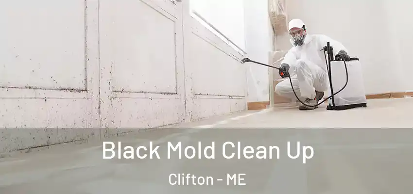  Black Mold Clean Up Clifton - ME