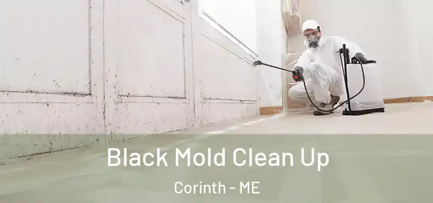  Black Mold Clean Up Corinth - ME