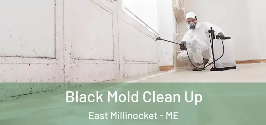 Black Mold Clean Up East Millinocket - ME