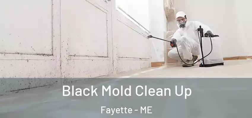  Black Mold Clean Up Fayette - ME