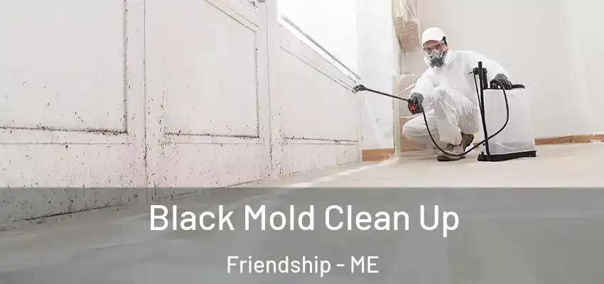  Black Mold Clean Up Friendship - ME