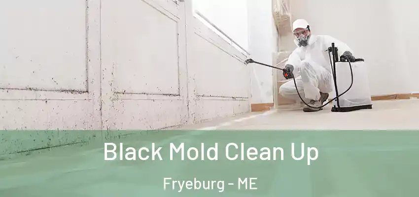 Black Mold Clean Up Fryeburg - ME