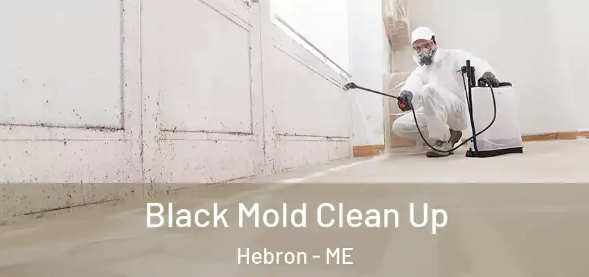  Black Mold Clean Up Hebron - ME