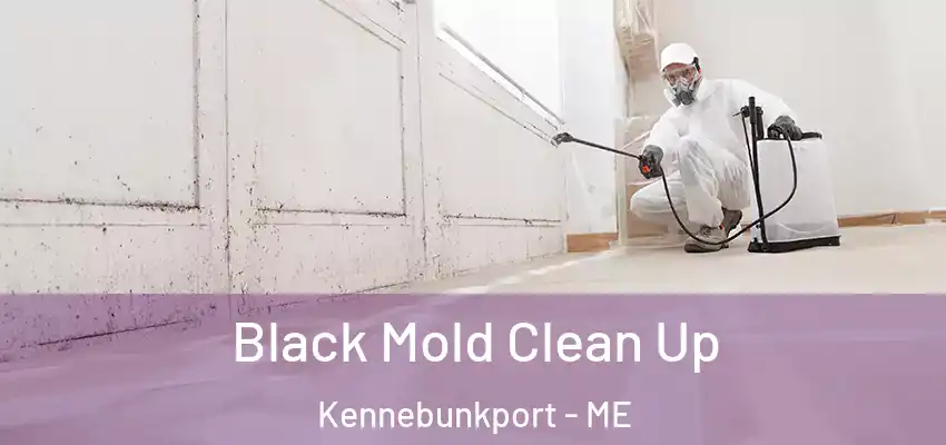  Black Mold Clean Up Kennebunkport - ME