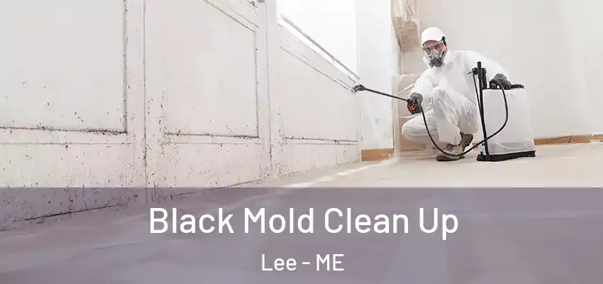 Black Mold Clean Up Lee - ME