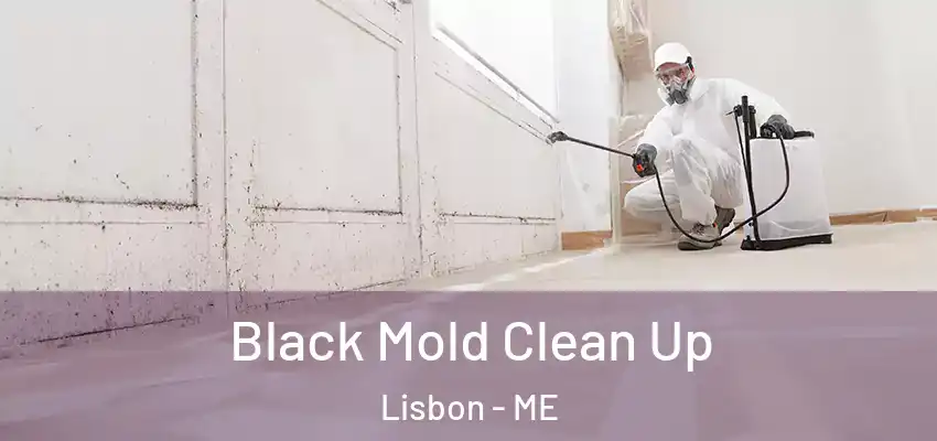  Black Mold Clean Up Lisbon - ME